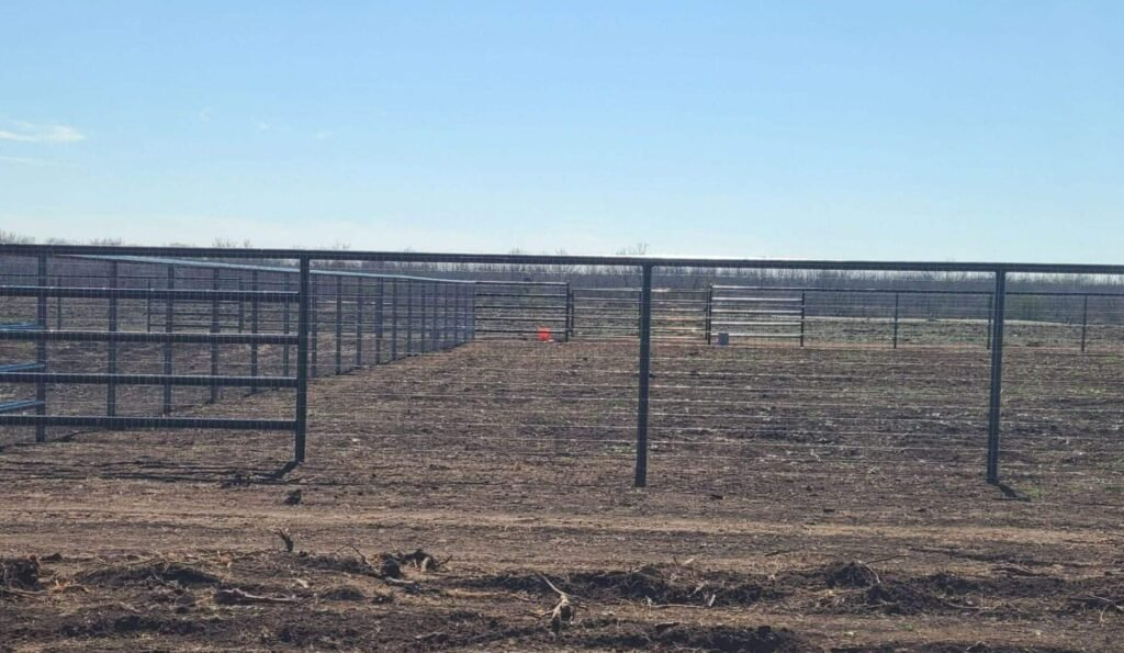 616072245_1250721700256082_5795333668304279738_n