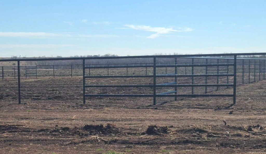 617352325_2209980499530533_8475564809222106246_n