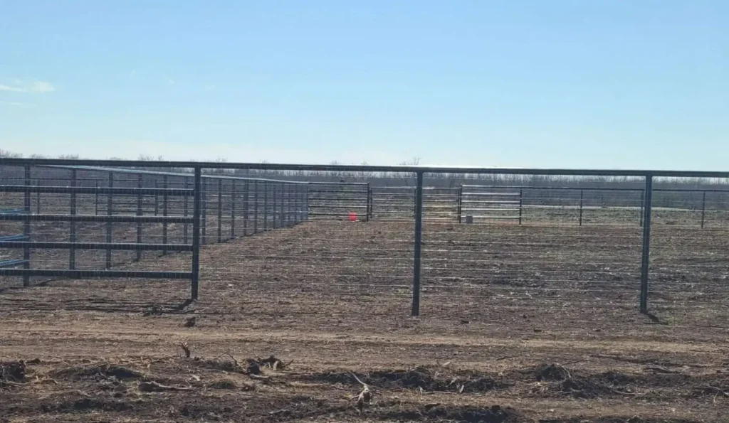 616072245_1250721700256082_5795333668304279738_n-e1769194056530