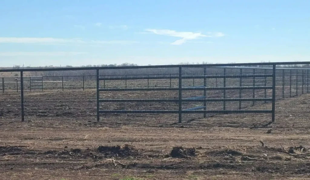 617352325_2209980499530533_8475564809222106246_n-e1769193631636